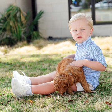 Blue Puppy Will Polo
