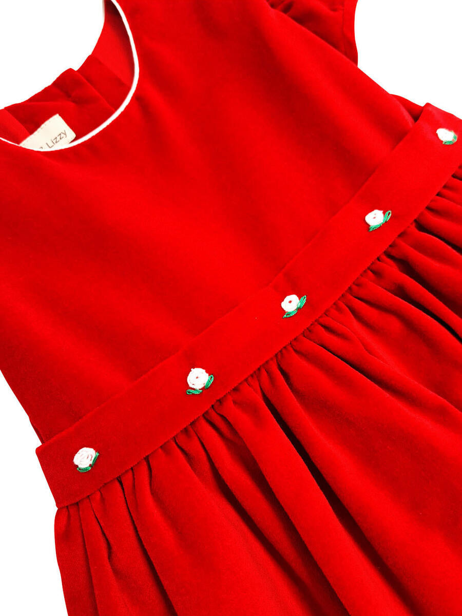 Red Velvet Dress