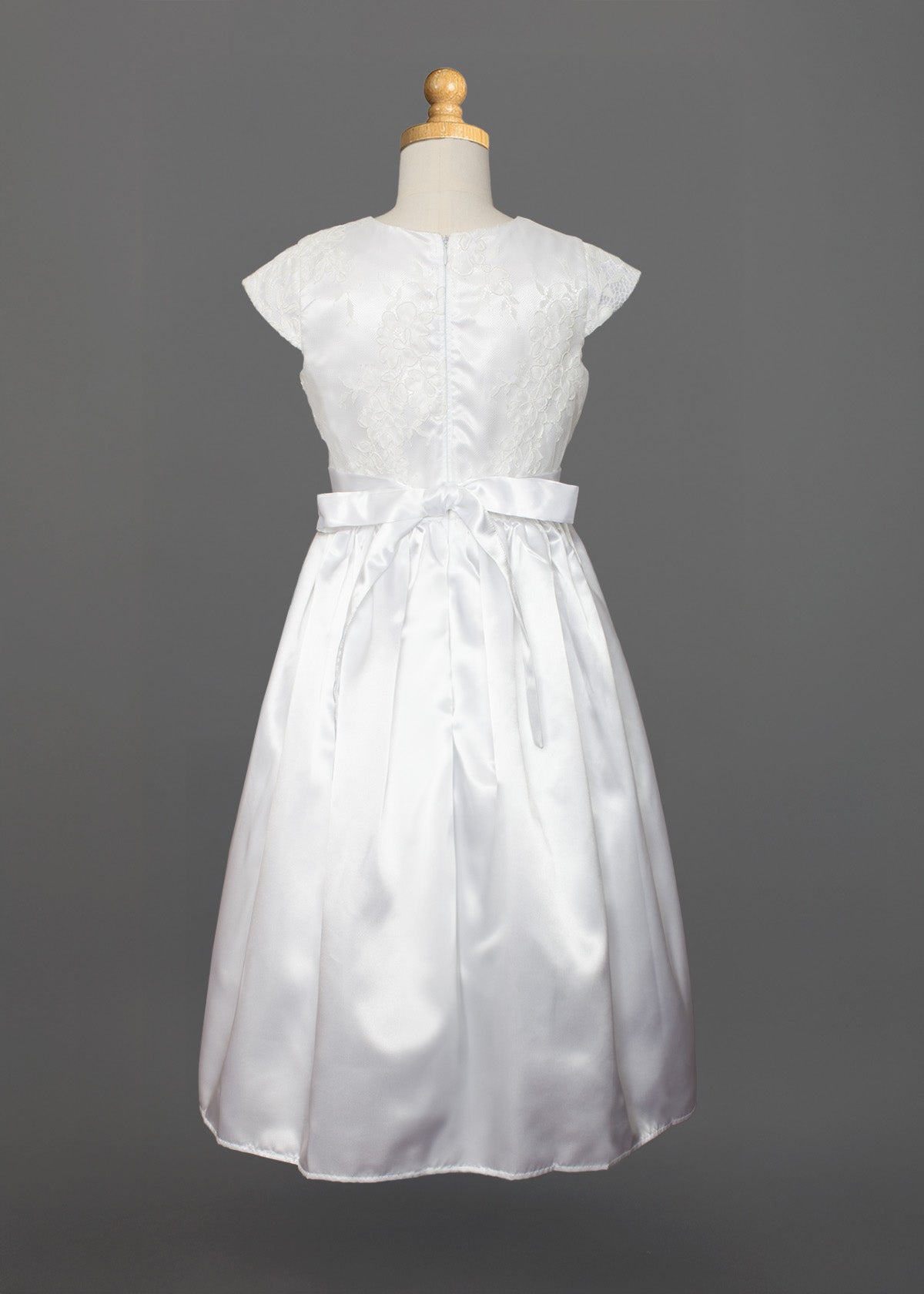 Beaded Lace Bodice Dress