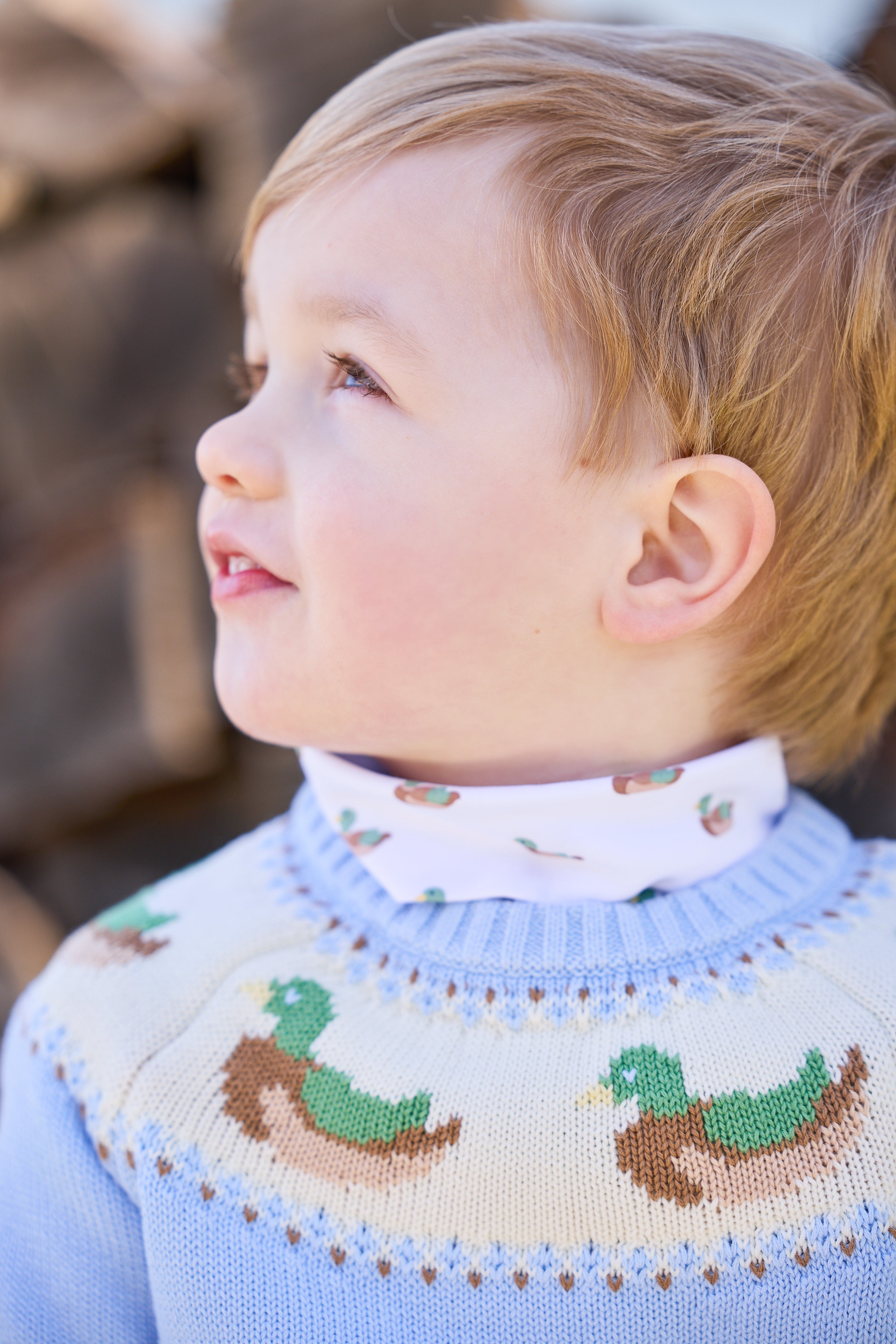 Blue Mallard Fair Isle Sweater